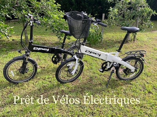 Instant Zen Bed & Breakfast Saint-Vivien-de-Médoc Exterior foto