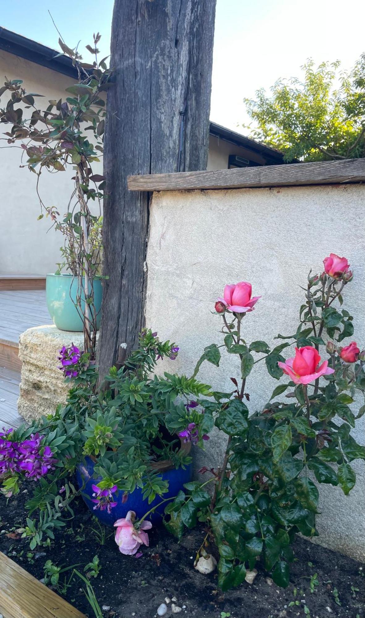 Instant Zen Bed & Breakfast Saint-Vivien-de-Médoc Exterior foto